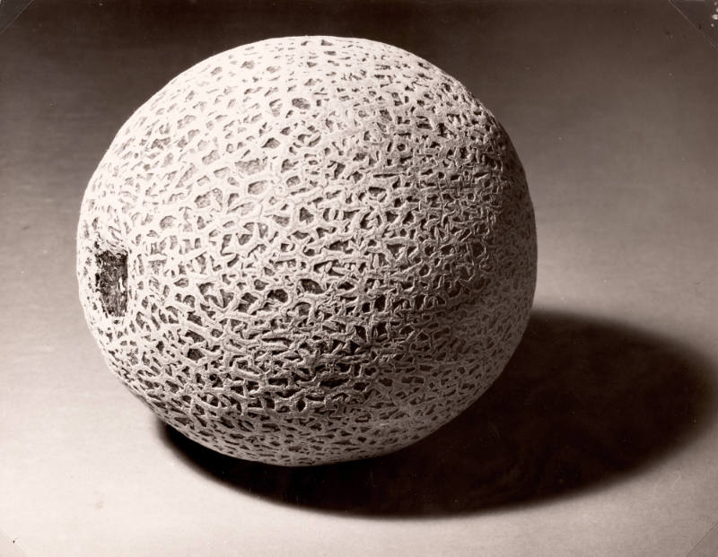 Cantaloupe
