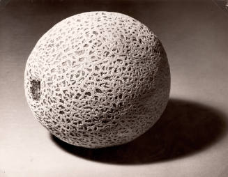 Cantaloupe