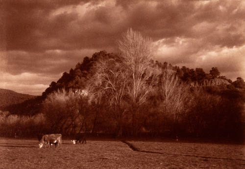 Talpa Pasture #2, New Mexico