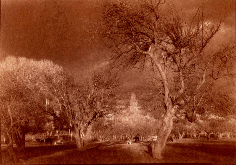 Talpa, Pasture #1, New Mexico
