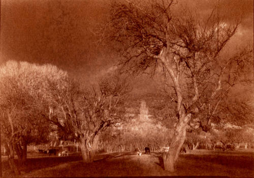 Talpa, Pasture #1, New Mexico