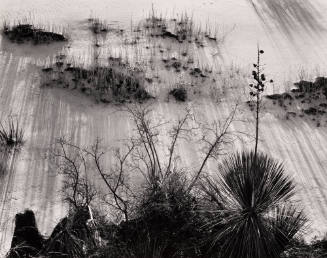 White Sands, New Mexico