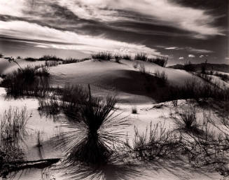White Sands, New Mexico