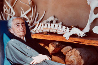 Georgia O'Keeffe at Ninety
