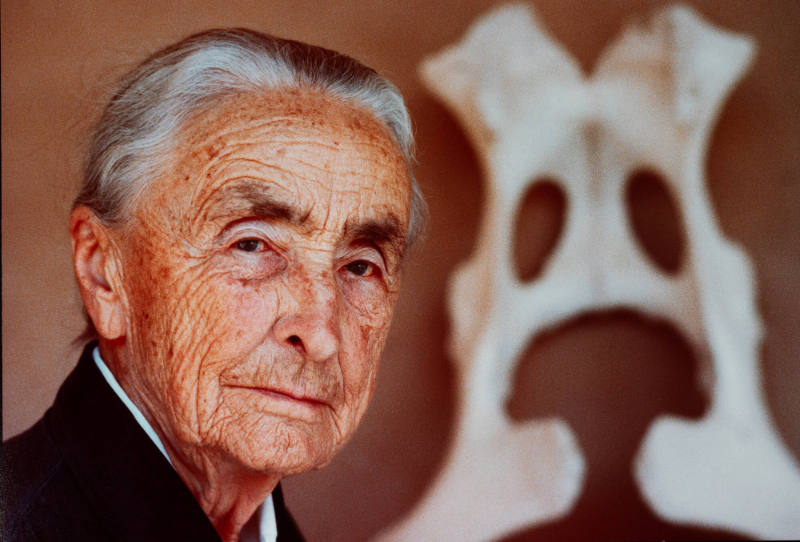 Georgia O'Keeffe at Ninety