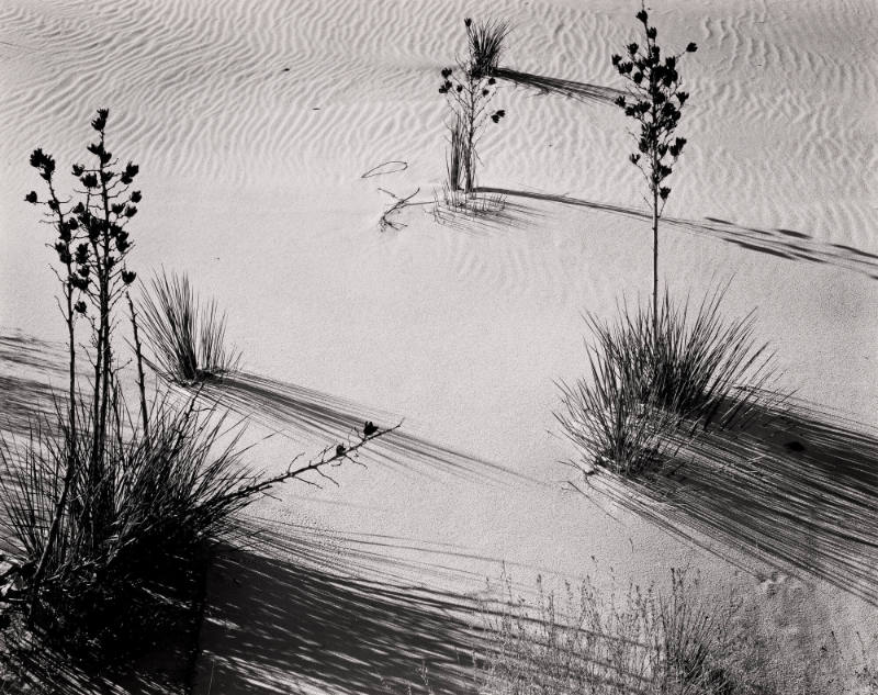White Sands, New Mexico