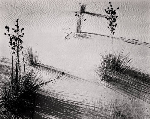White Sands, New Mexico