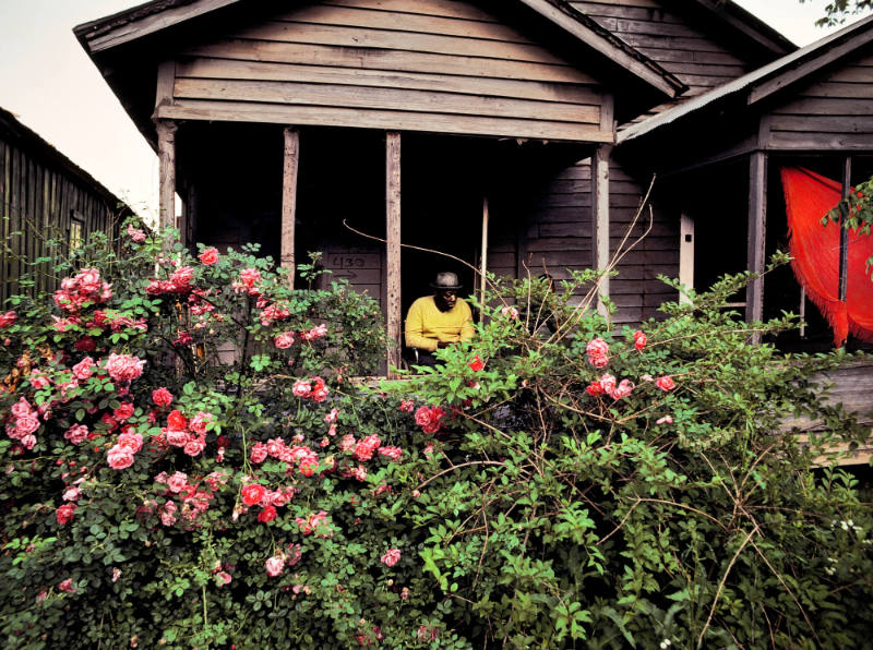 Shotgun House Garden, Helena, Arkansas