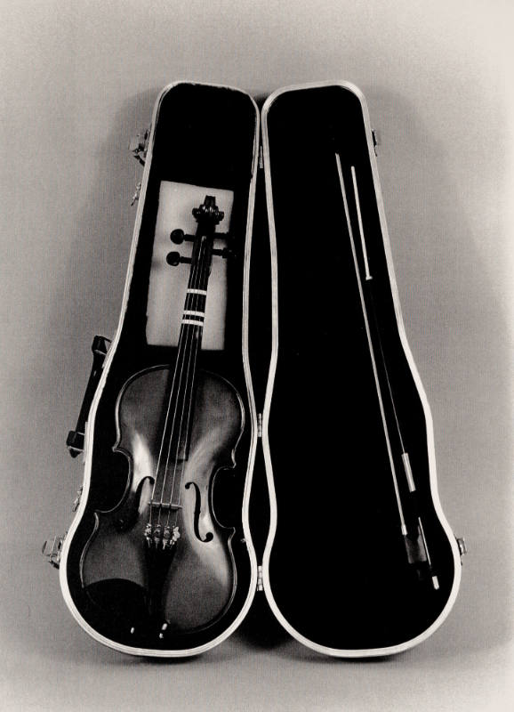 Favorite Objects: Violin