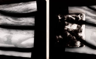 From Undersea Series