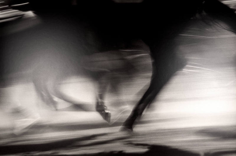 Dance of the Runaway Horses