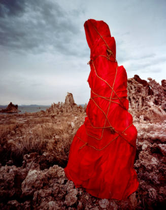 Untitled (Mono Lake)