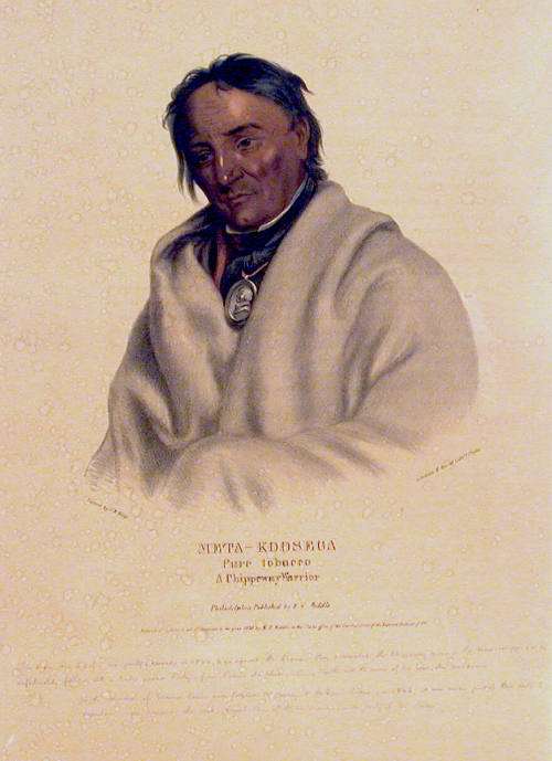 Meta-Koosega (Pure Tobacco) a Chippeway Warrior
