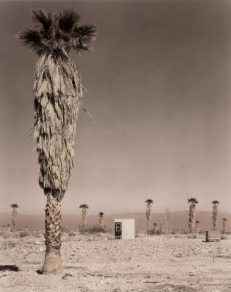 Salton Sea, Small Building