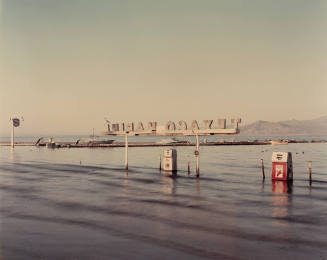 Flooded Marina (Gas Pumps), Salton Sea, California
