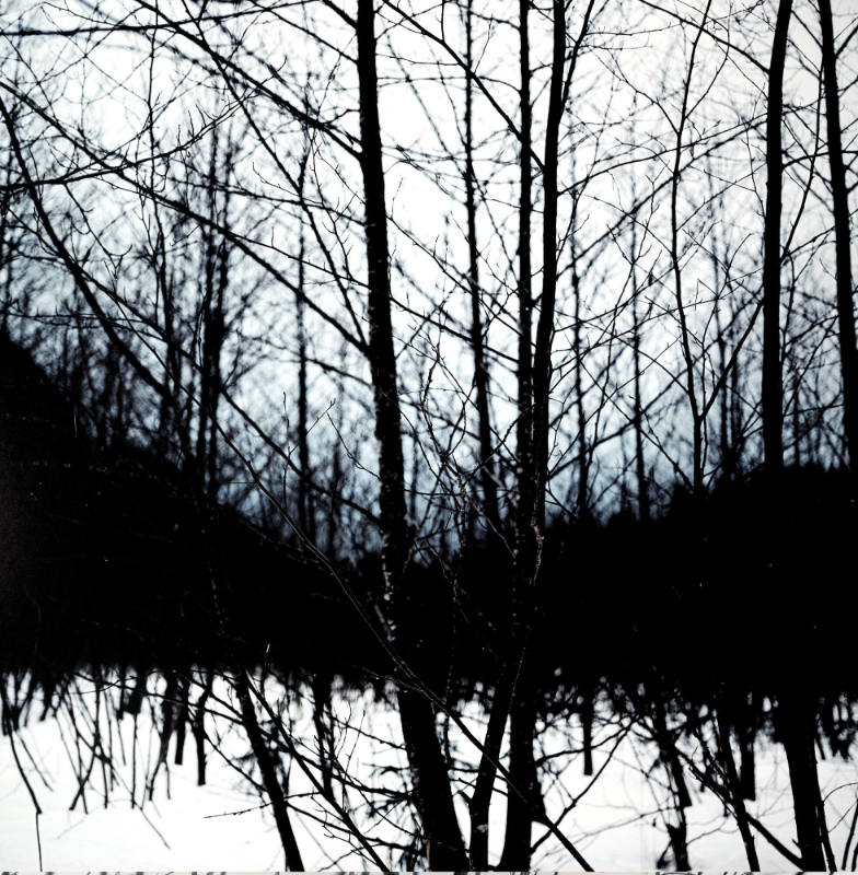 Untitled [Wilderness 38044-6-08]