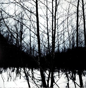 Untitled [Wilderness 38044-6-08]