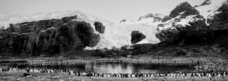 Gold Harbor, South Georgia