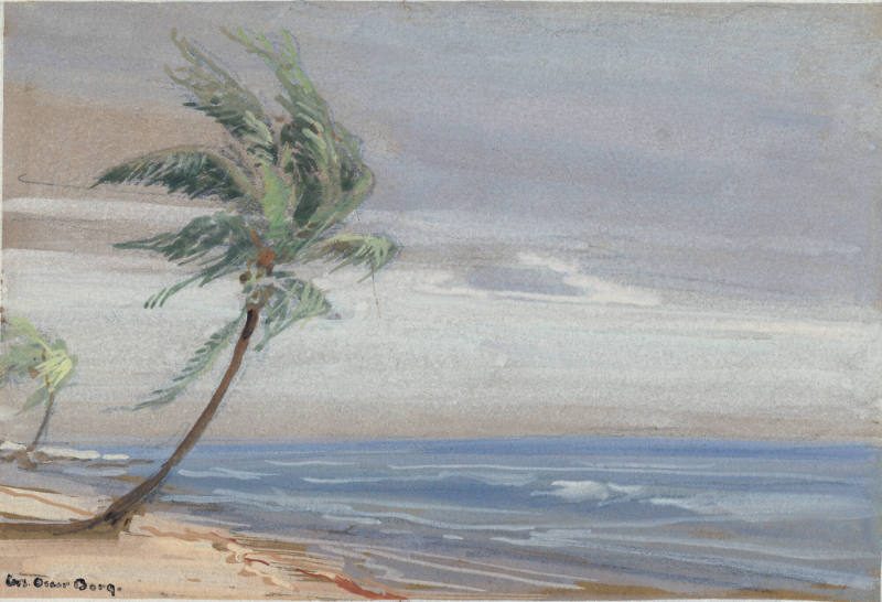 Tropical Palm
