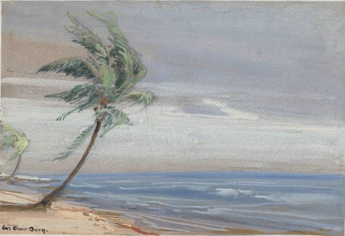 Tropical Palm