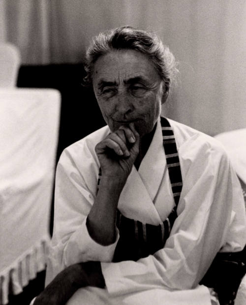 O'Keeffe at The Ranch, New Mexico