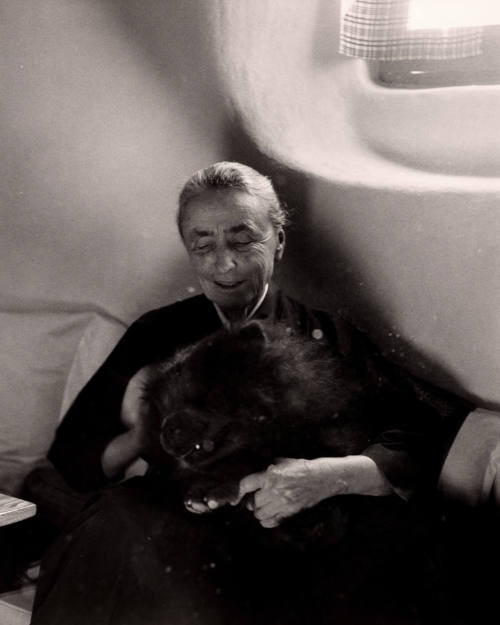 Untitled (Georgia O'Keeffe with dog on lap, New Mexico)
