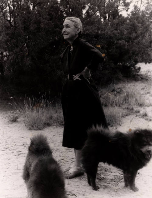 Untitled (O'Keeffe outdoors with two chows), New Mexico