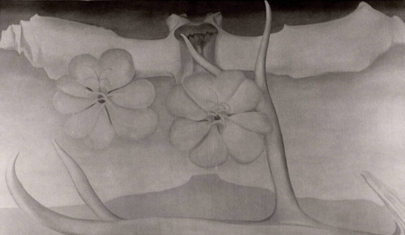 Untitled (Georgia O'Keeffe painting)