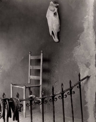 Untitled (Horse skull and railing), New Mexico