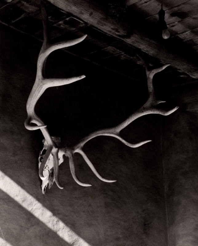 Elk Antlers, Patio, Abiquiu House, New Mexico