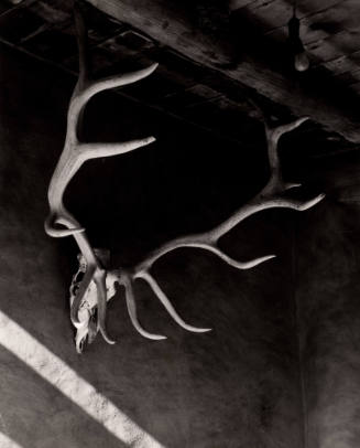 Elk Antlers, Patio, Abiquiu House, New Mexico