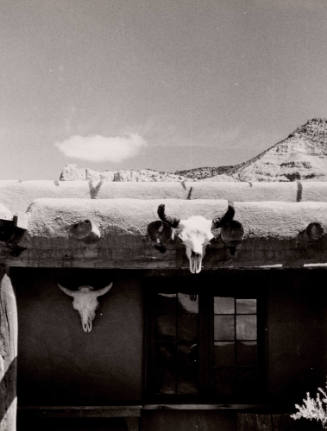 Untitled (Skulls, Ghost Ranch), New Mexico