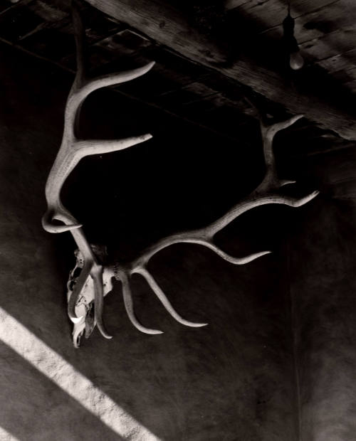 Elk Antlers, Patio, Abiquiu House, New Mexico