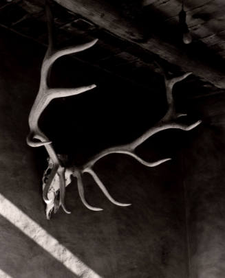 Elk Antlers, Patio, Abiquiu House, New Mexico