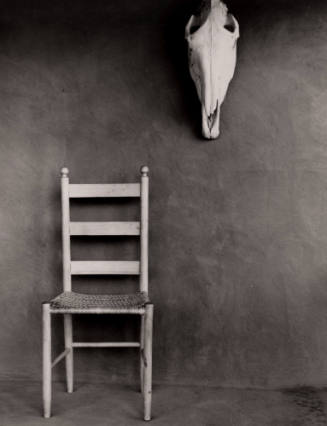 Horse Skull and Chair at the Ghost Ranch, New Mexico