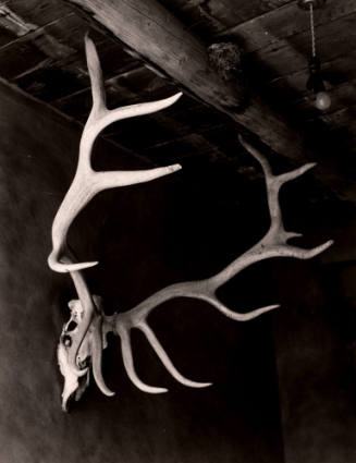 Elk Antlers, Georgia O'Keeffe's House, Abiquiu, New Mexico