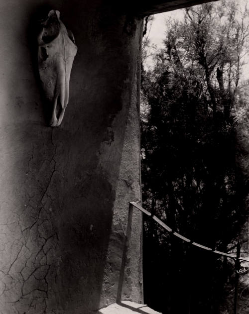Horse Skull, Georgia O'Keeffe's House