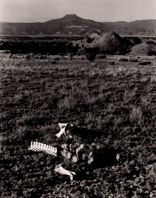 Untitled (Bones in landscape with Pedernal), New Mexico