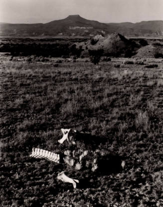 Untitled (Bones in landscape with Pedernal), New Mexico