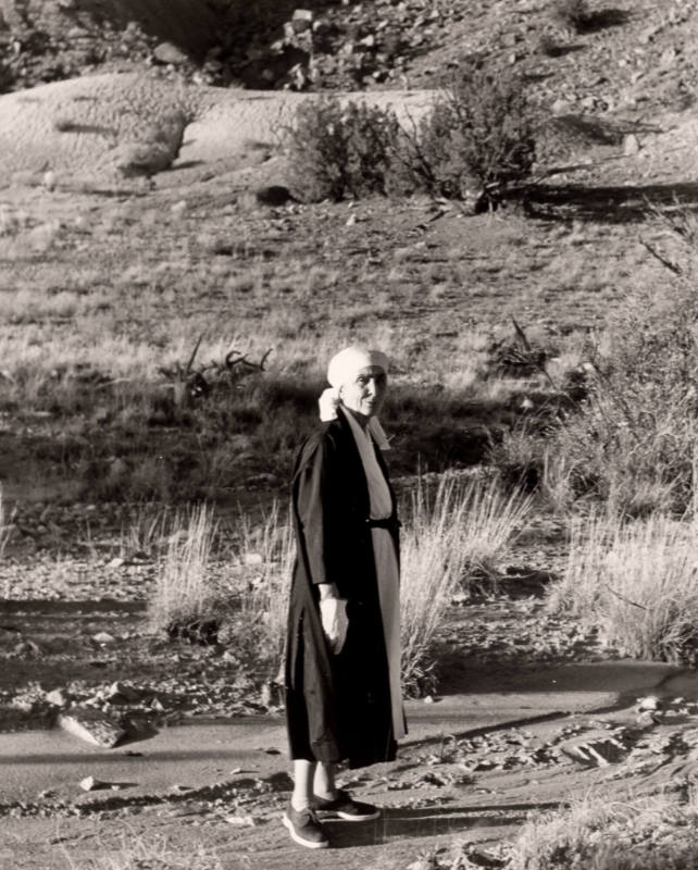 At the Ranch, New Mexico