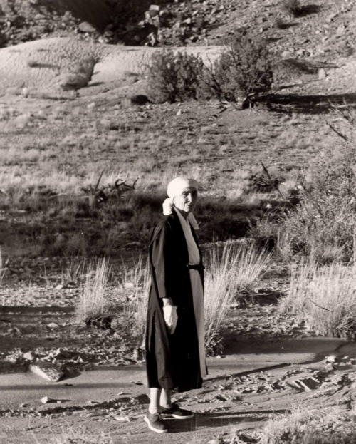 At the Ranch, New Mexico