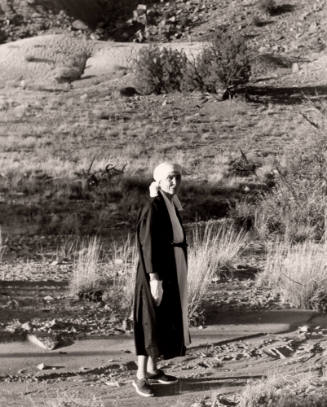 At the Ranch, New Mexico