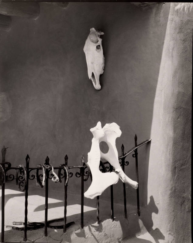 Portal at the Ranch (Bones and railing)