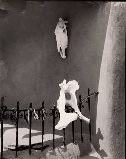 Portal at the Ranch (Bones and railing)