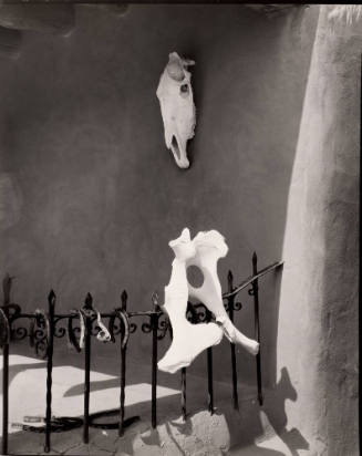Portal at the Ranch (Bones and railing)