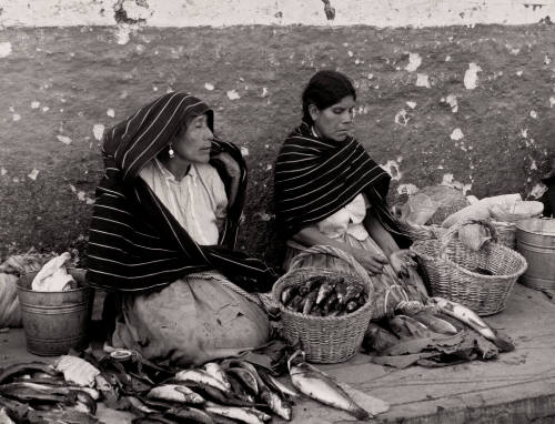 Tarascan Women Selling Fish, Mexico