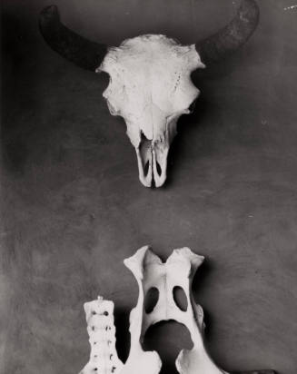 Untitled (Bones on wall), New Mexico