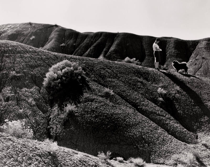 Untitled (O'Keeffe on hill with dog), New Mexico