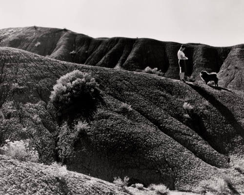 Untitled (O'Keeffe on hill with dog), New Mexico