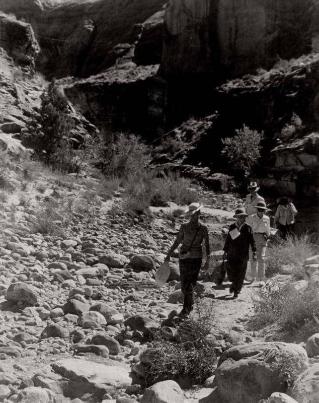 The Party, Quida Ball, Glen Canyon